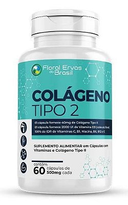 Colágeno Tipo 2 - 60caps - Floral Ervas