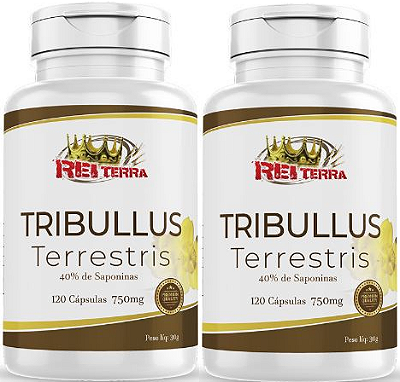 Kit Tribulus Terrestris - 2 unidades - Rei Terra