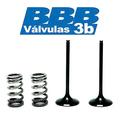 Válvula de Admissão KAWASAKI KXF 250 09/10 + Molas 3B