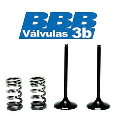Válvula de Escape YAMAHA YZF 250 01/13 WRF 250 01/13 + Molas 3B