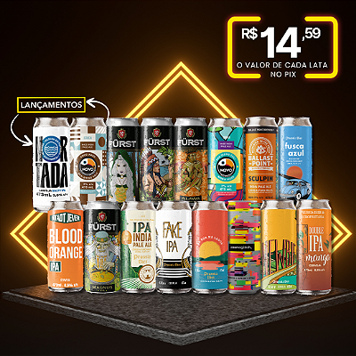 Todas as IPAs do estoque – 16 latas