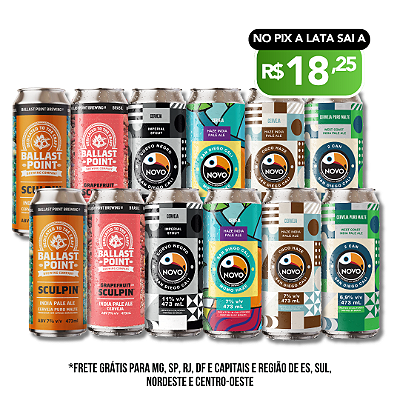 Kit Cervejas Gringas - 12 Latas