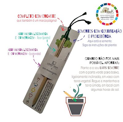 Lápis Semente Embaúba - Completo com Encarte Personalizado