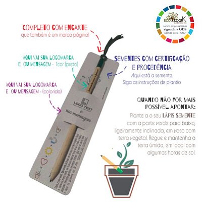 Lápis Semente Manjericão -  Completo com Encarte e Personalizado