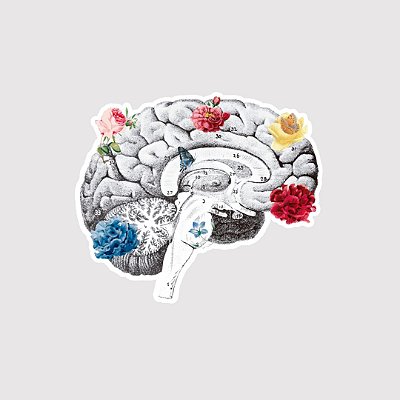 Sticker Brain Vera