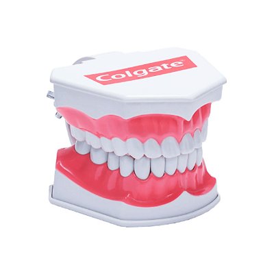 Macro Modelo de Arcada Dentaria - Colgate