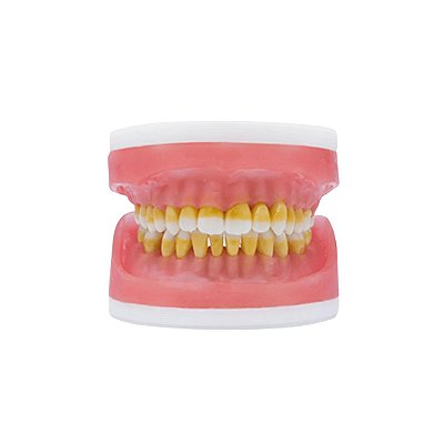 Refil Top Cirurgia com Dentes de Periodontia AC025 - PRONEW