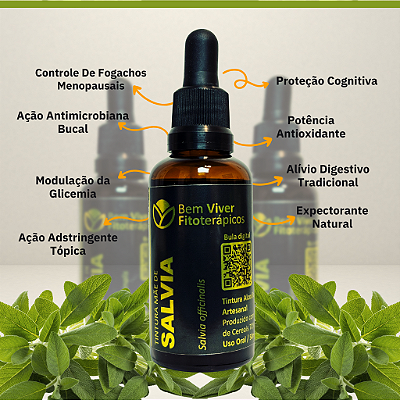 Tintura Mãe de Sálvia (Salvia officinalis) 50ml