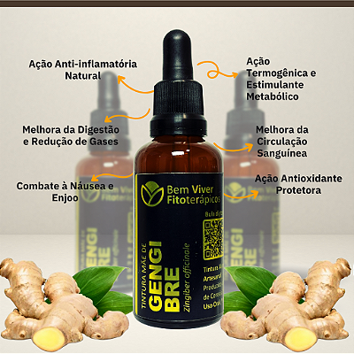 Tintura Mãe de Gengibre (Zingiber officinale) 50ml