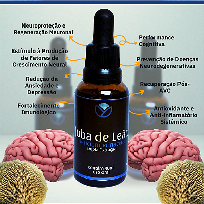 Extrato Premium de Juba de Leão (Hericium erinaceus) 30ml