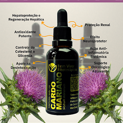 Tintura Mãe de Cardo Mariano (Silybum marianum) 50ml