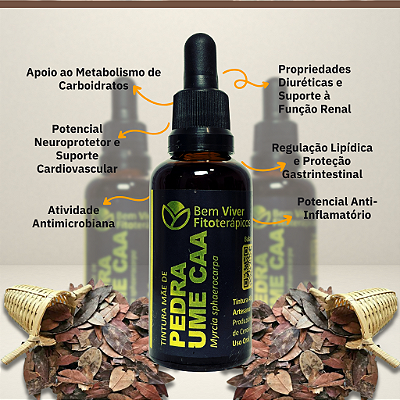 Tintura Mãe de Pedra Ume Caá (Myrcia sphaerocarpa) 50ml