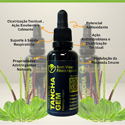 Tintura Mãe de Tanchagem (Plantago major) 50ml