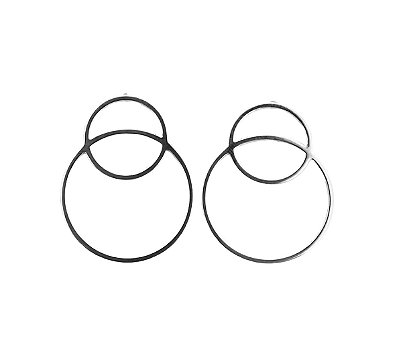 Brinco Círculos - Prata 925