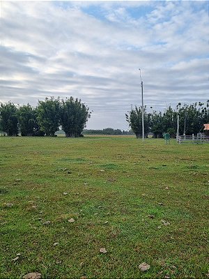 FAZENDA COM 224,40 ha  EM MOSTARDAS ÓTIMA PARA PECUÁRIA E FLORESTA