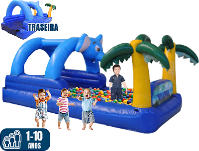 PISTA DE BOLINHAS SAVANA (2x1: pista pula-pula e bolinhas) (4,20m x 3,20m / altura: 2m)
