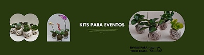 Evento2