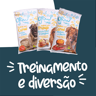 treinamento e diversão