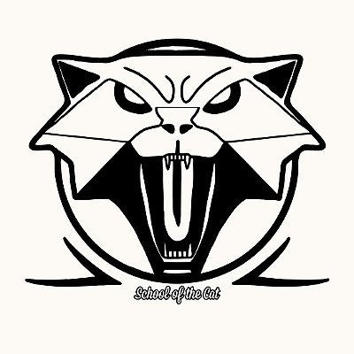 Camiseta Witcher Cat