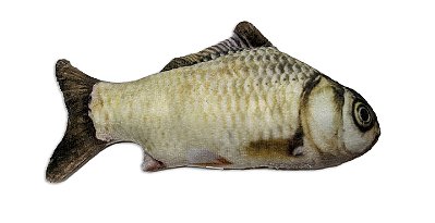Peixe C/ Erva de Gato M 20cm