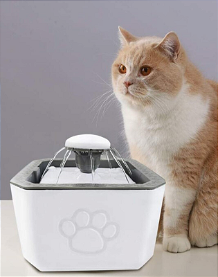 Fonte de Água 2.5 Litros