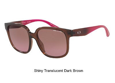 Óculos de Sol Armani Exchange 0AX4136SU