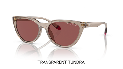 Óculos de Sol Armani Exchange 0AX4130SU