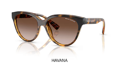 Óculos de Sol Armani Exchange 0AX4148SU