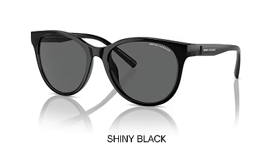 Óculos de Sol Armani Exchange 0AX4144SU