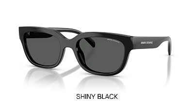 Óculos de Sol Armani Exchange 0AX4155SU