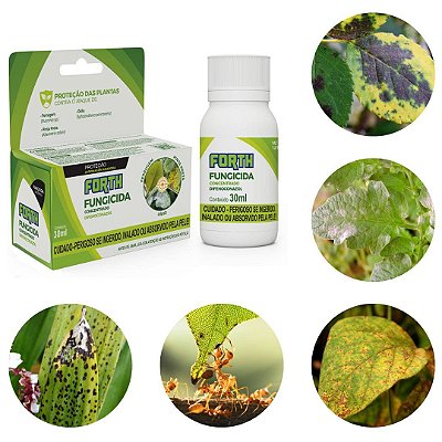 Fungicida Concentrado Forth 30ml para Pinta Preta em Plantas