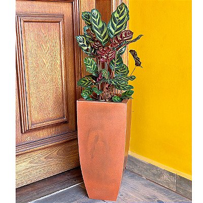 Vaso Fino para Plantas E Decoração de Ambientes Internos