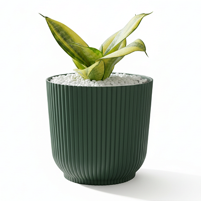 Muda De Mini Espada De São Jorge Decoração Interna/Externa