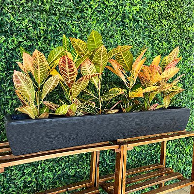 Jardineira Floreira de Plantas Fina para Horta Decorativa