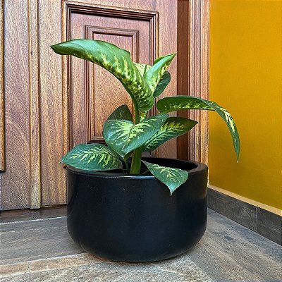 Vaso  Bacia para Plantas Redondo de Polietileno 39x21cm