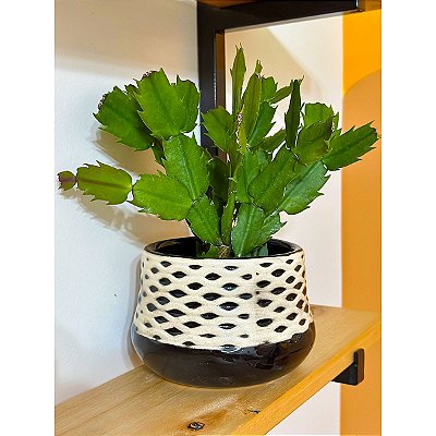 Vaso Cachepot Cerâmica Decorativo 11cm para Flores e Plantas