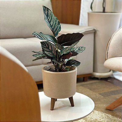 Vaso DOHA Pequeno 22cm com Tripé de Madeira para Plantas
