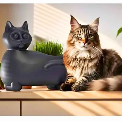 Vaso para Plantas Gato Mascote Decoração Interna Externa
