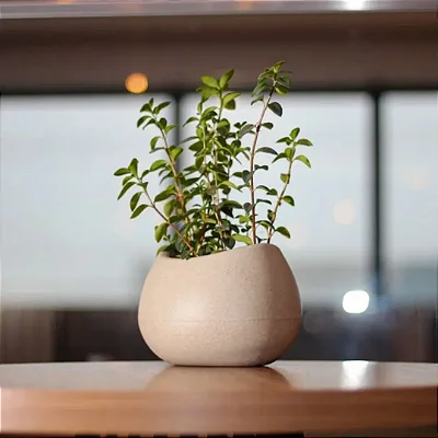 Vaso Para Planta Pequeno Texturizado Oval Decoração Interna