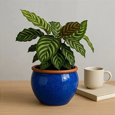 Vaso Cachepot de Mesa 18cm Cerâmica Esmaltada Para Decoração
