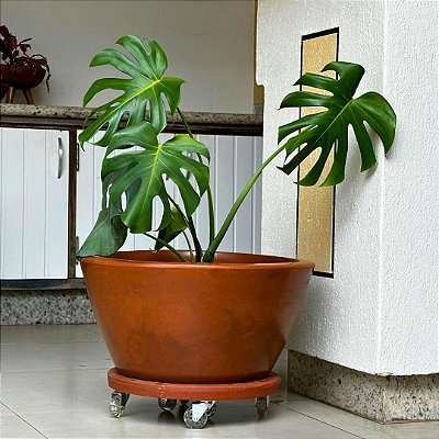 Vaso Bacia Para Planta Decoração Externa Pequim 52x28cm