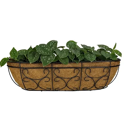 Vaso Jardineira de Fibra de Coco 60cm de Parede com Suporte