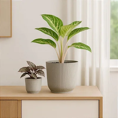 Kit 2 Vasos Para Planta Cachepot Decorativo de Mesa