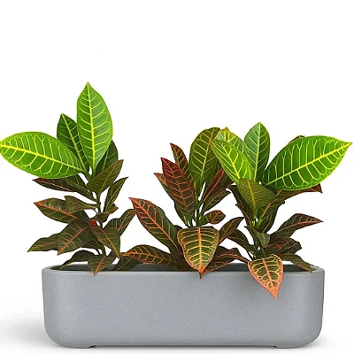 Jardineira Doha Para Plantas Floreira de Polietileno 50cm