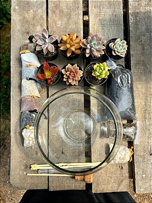 Kit faça você mesmo terrário de suculentas (tamanho M)