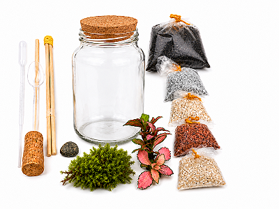 Kit Terrário Reciclado