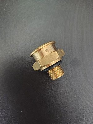 Conexão Encanamento de Combustível Adaptável NG12 M14x1,5 Volkswagen