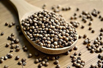 EXTRATO CONCENTRADO DE COENTRO(60ml)