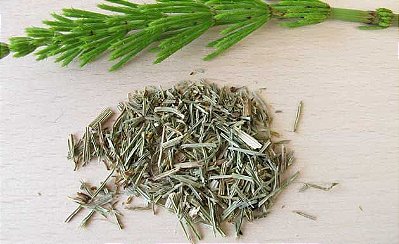Chá de Cavalinha (Equisetum arvense) 50gr