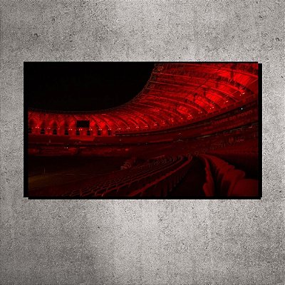 Quadro - Pequeno - Estádio Beira-Rio - 60cmx40cm. BRP11